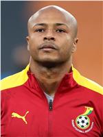 安德烈·阿尤 André Ayew