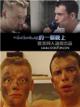 Wilhelmsburg的一个晚上在线观看和下载