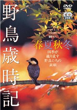 野鳥歲時記-春夏秋冬在线观看和下载