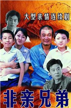 非亲兄弟在线观看和下载