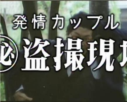 発情カップル 盗撮現場在线观看和下载