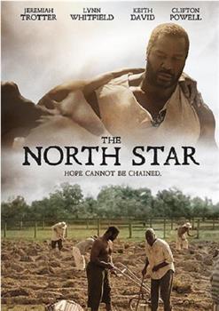 The North Star在线观看和下载