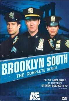 Brooklyn South在线观看和下载