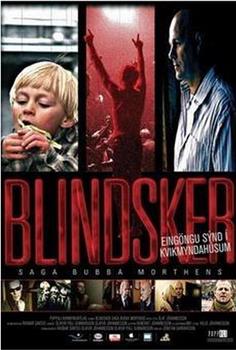 Blindsker: Saga Bubba Morthens在线观看和下载