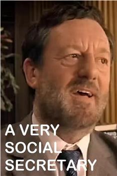 A Very Social Secretary在线观看和下载