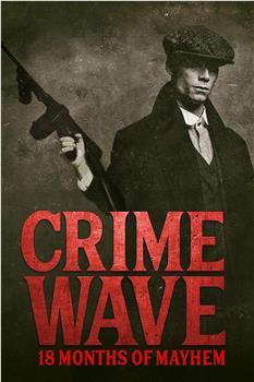 Crime Wave: 18 Months of Mayhem在线观看和下载