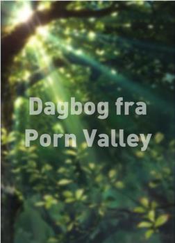 Dagbog fra Porn Valley在线观看和下载