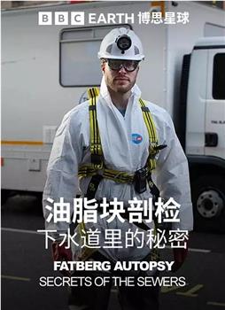 油脂块剖检：下水道里的秘密在线观看和下载