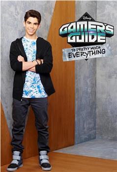 gamers guide to pretty much everything在线观看和下载