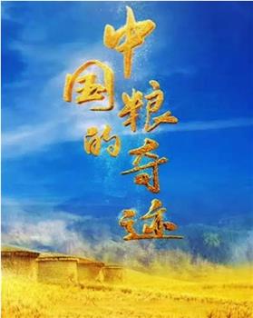 中国粮的奇迹在线观看和下载