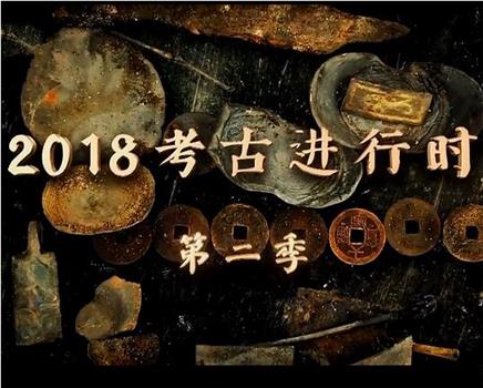 探索发现：2018考古进行时 第二季在线观看和下载