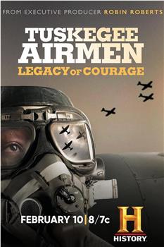 Tuskegee Airmen: Legacy of Courage在线观看和下载