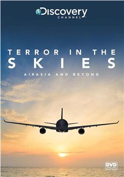 Terror in the Skies: Air Asia and Beyond在线观看和下载