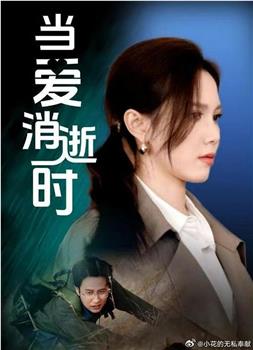 当爱消逝时在线观看和下载