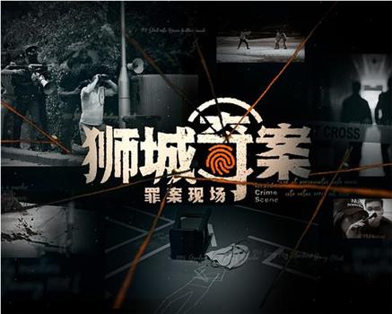 狮城奇案之罪案现场 第二季在线观看和下载