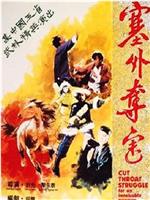 塞外夺宝