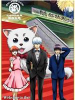 银魂剧场版 银幕前夜祭2013ftp分享