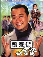 鸭寮街的金蛋