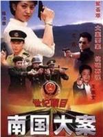 南国大案