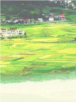 川菜在民间