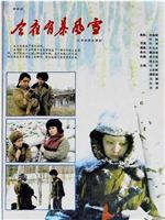 今夜有暴风雪