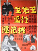 王先生行正桃花运