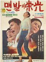 赤足的荣光