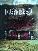 凤棺迷魂