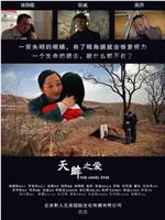 天眸之爱