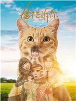 猫不告诉你