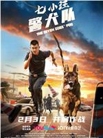 七小汪警犬队