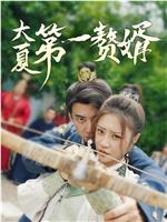 大夏第一赘婿