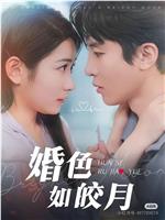 婚色如皎月